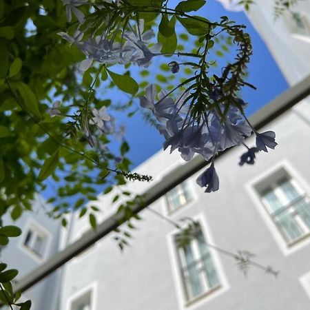 Hotel San Miguel Menorca Mahon  Ngoại thất bức ảnh